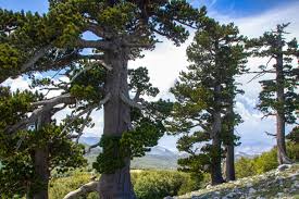 Вінницьким водіям «на замітку» - де не можна їздити, щоб не отримати штраф