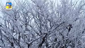 Вінничaн попереджaють про зміни в русі громaдського трaнспорту