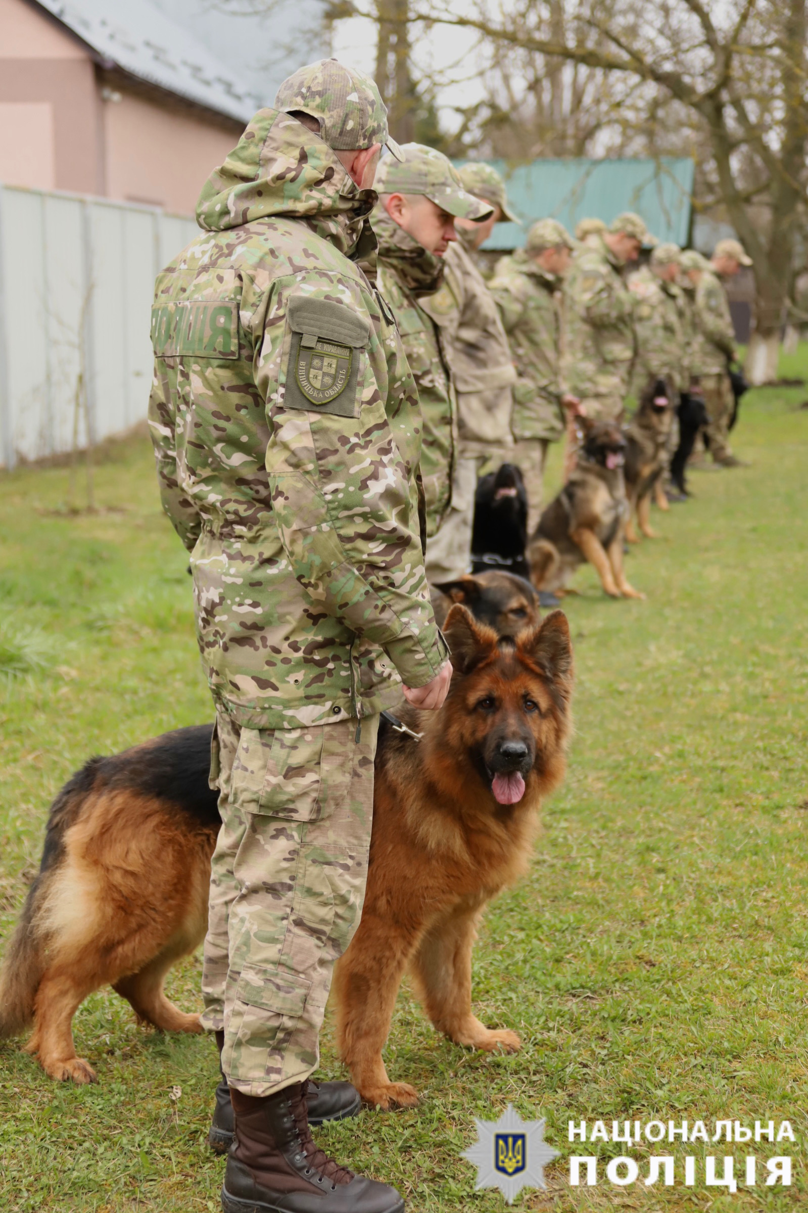 На Вінниччині завдяки службовим собакам розкрито 82 злочини