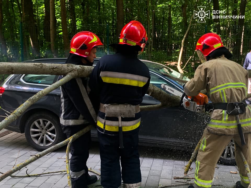 Негода на Вінниччині: рятувальники прибирали повалені дерева та деблокували авто