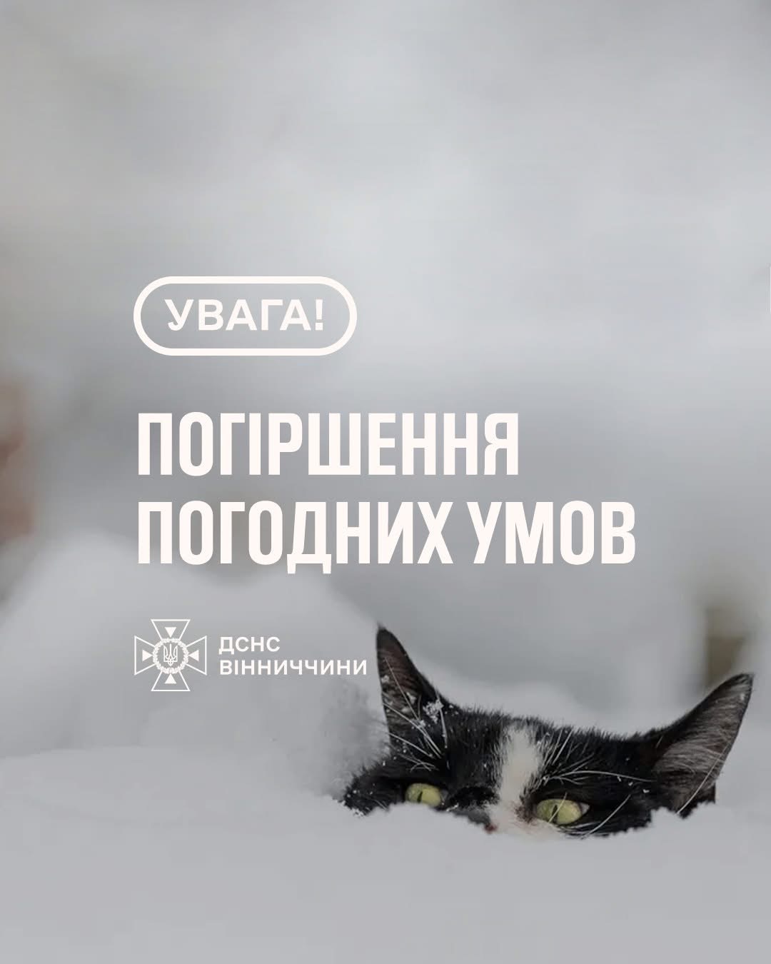 На Вінниччині очікують сильне похолодання та сніг наприкінці грудня