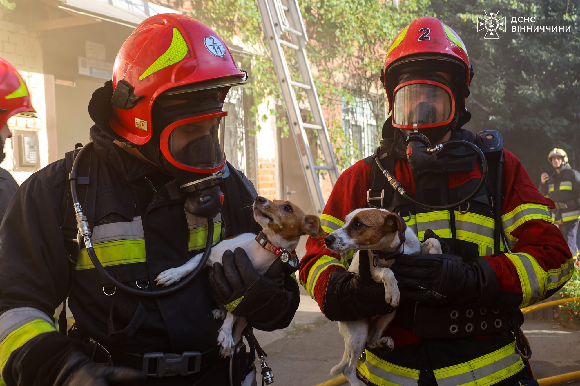 Вінницькі рятувальники ліквідували пожежу та врятували трьох домашніх улюбленців