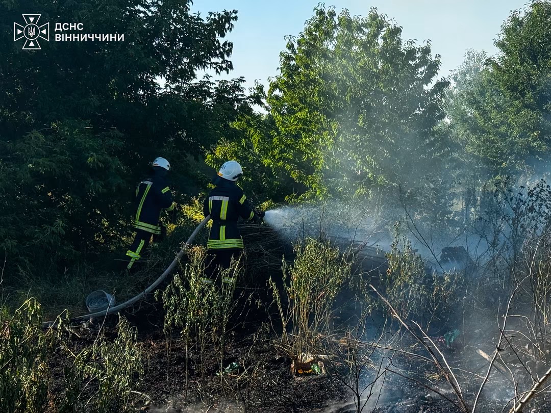 За добу на Вінниччині сталося 12 пожеж: вогонь знищив понад 12 гектарів землі
