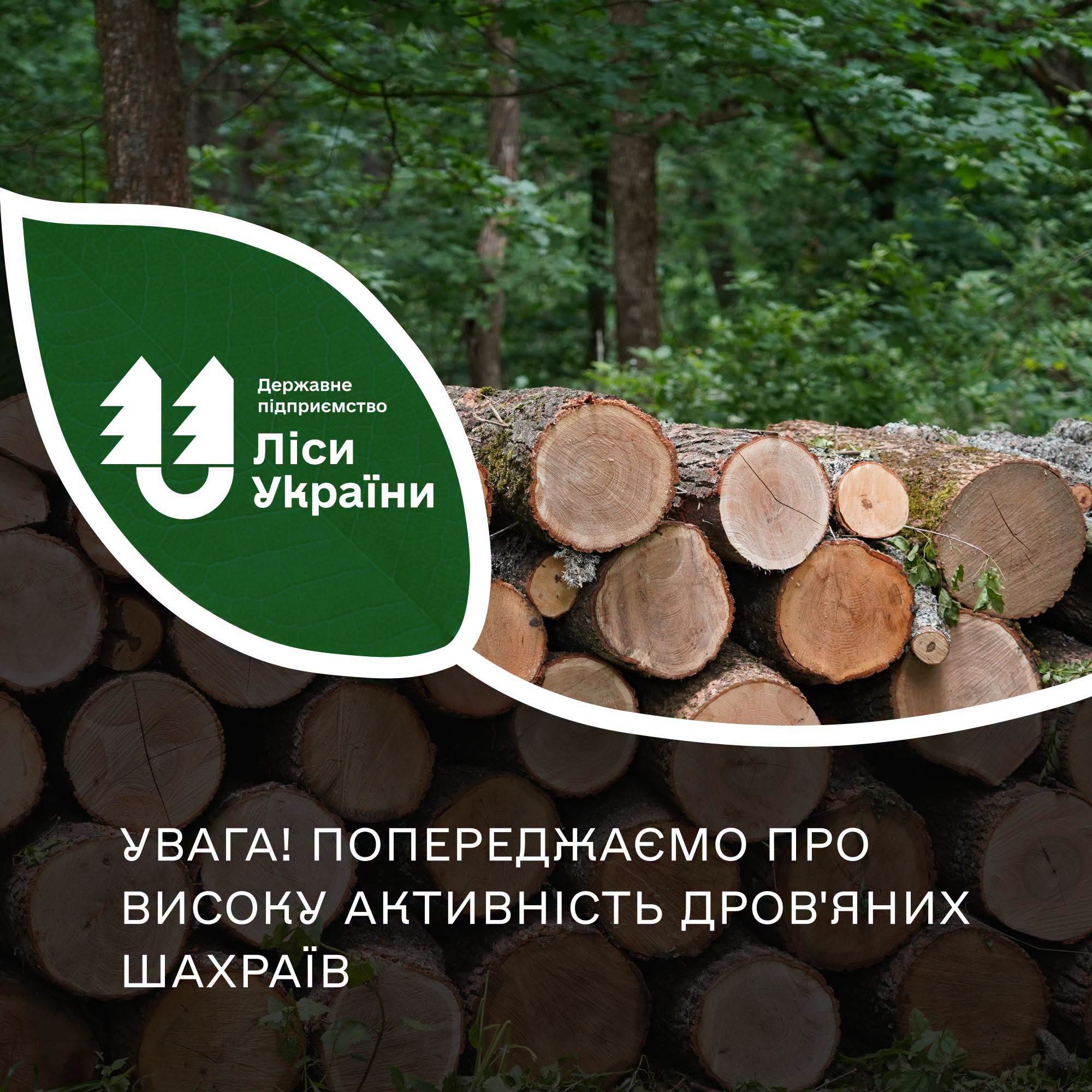 На Вінниччині шахраї продають «дрова» від імені лісництв і зникають після передоплати
