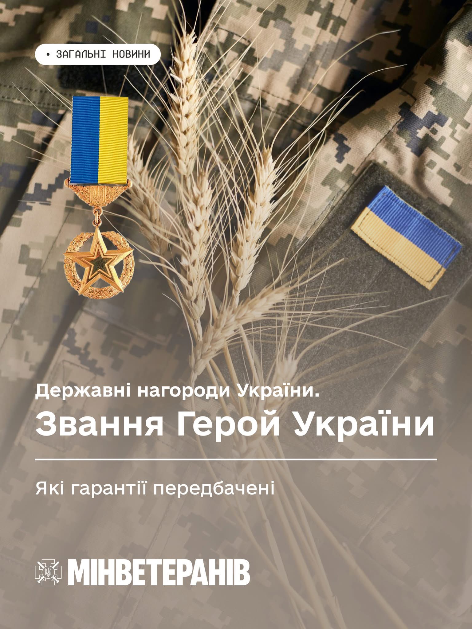 Герой України: які пільги та гарантії передбачені для найвищої державної нагороди