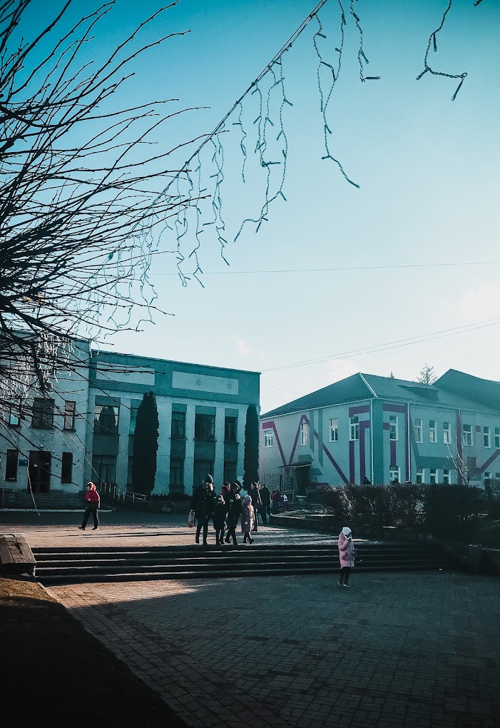 На Вінниччині посадовиця організувала зимове прибирання вулиць на «додаткові» 700 тисяч гривень