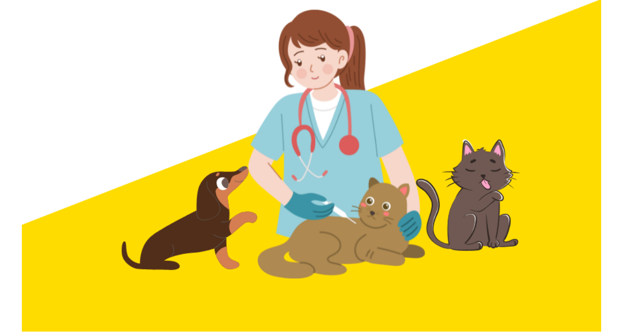 У Вінниці та селах громади триватиме безкоштовна вакцинація тварин від сказу до кінця вересня