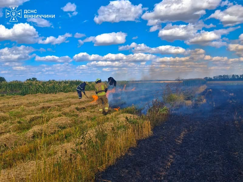 Понад 5 гектарів вигоріло: на Вінниччині за добу 15 разів гасили пожежі в екосистемах