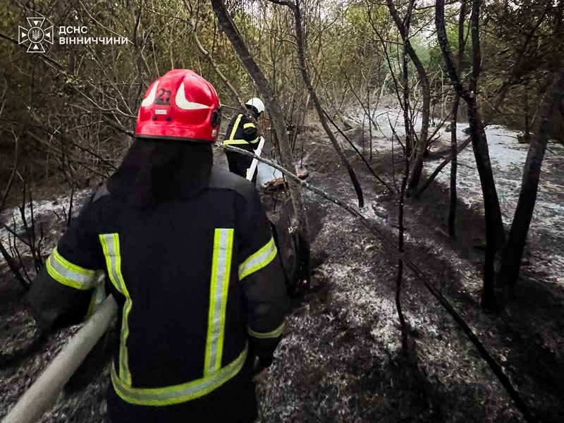  На Вінниччині за добу рятувальники ліквідували 16 пожеж