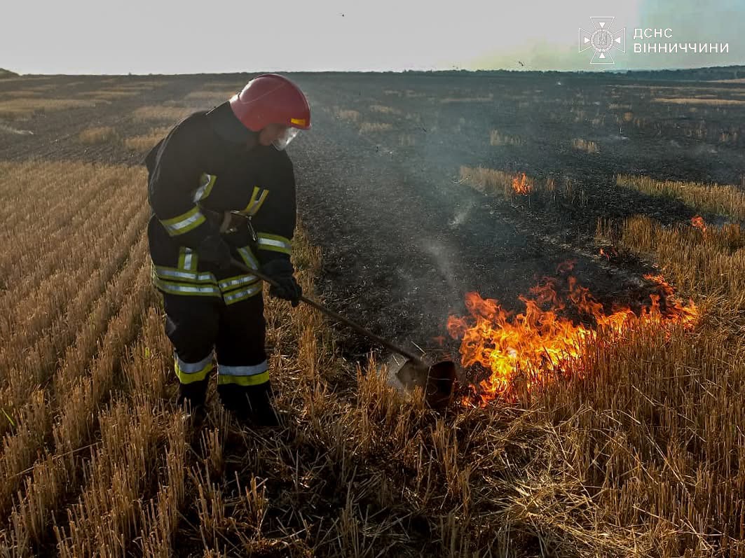12 пожеж за добу: на Вінниччині горіли поля та господарські будівлі