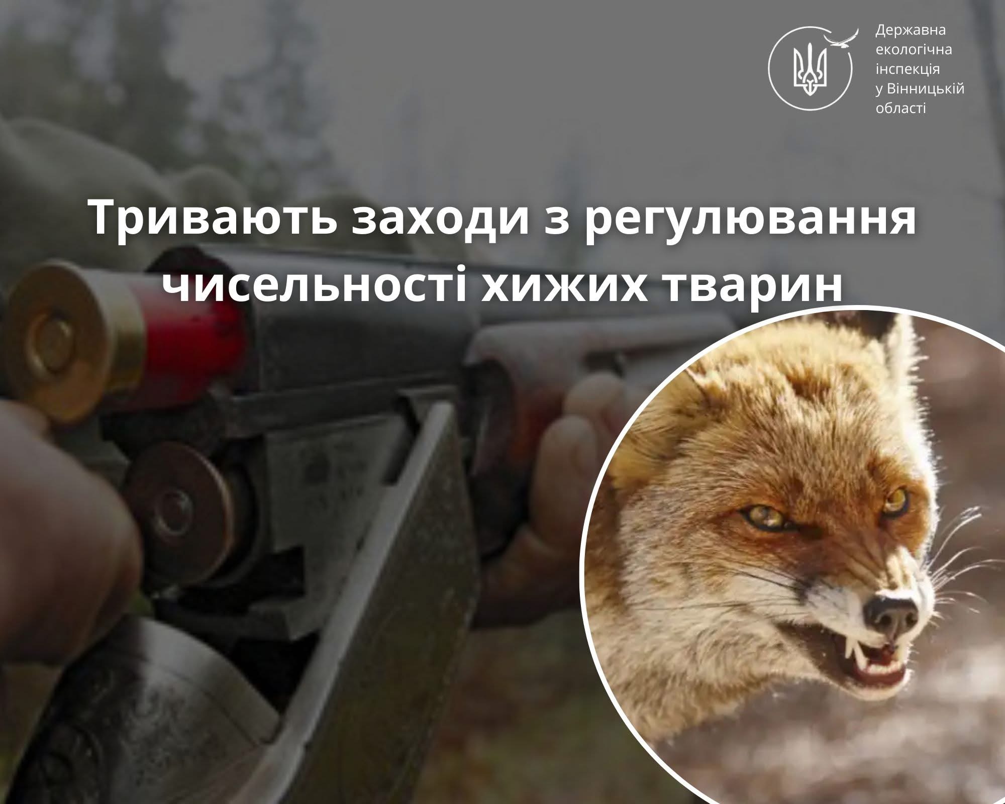 На Вінниччині тривають заходи з контролю чисельності хижих тварин