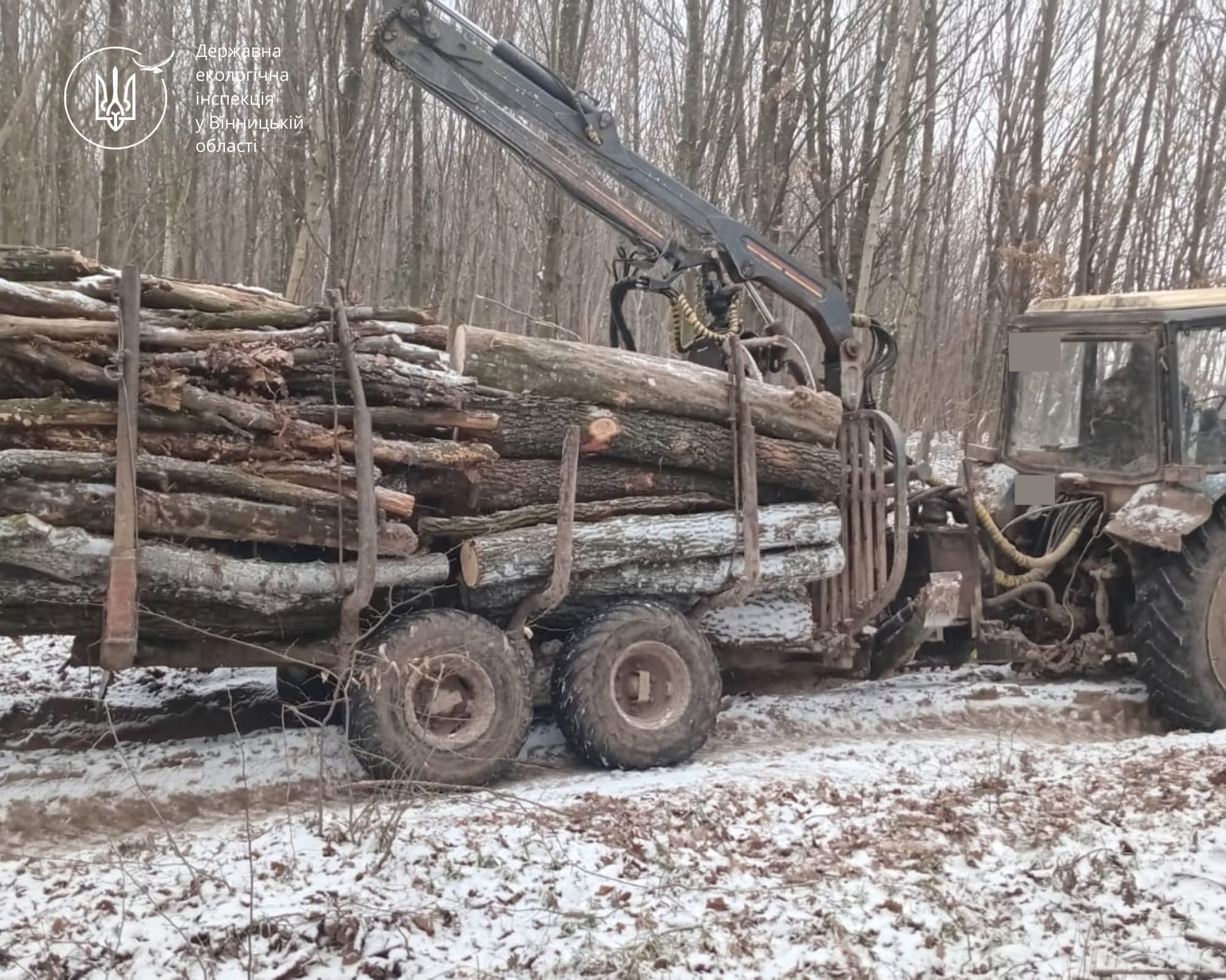 На Вінниччині екоінспектори викрили незаконне транспортування лісоматеріалів