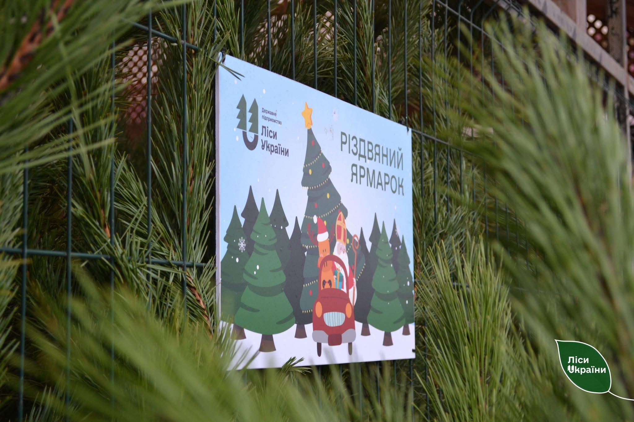 Понад 7 тисяч новорічних дерев: підсумки різдвяних ярмарків лісівників на Вінниччині