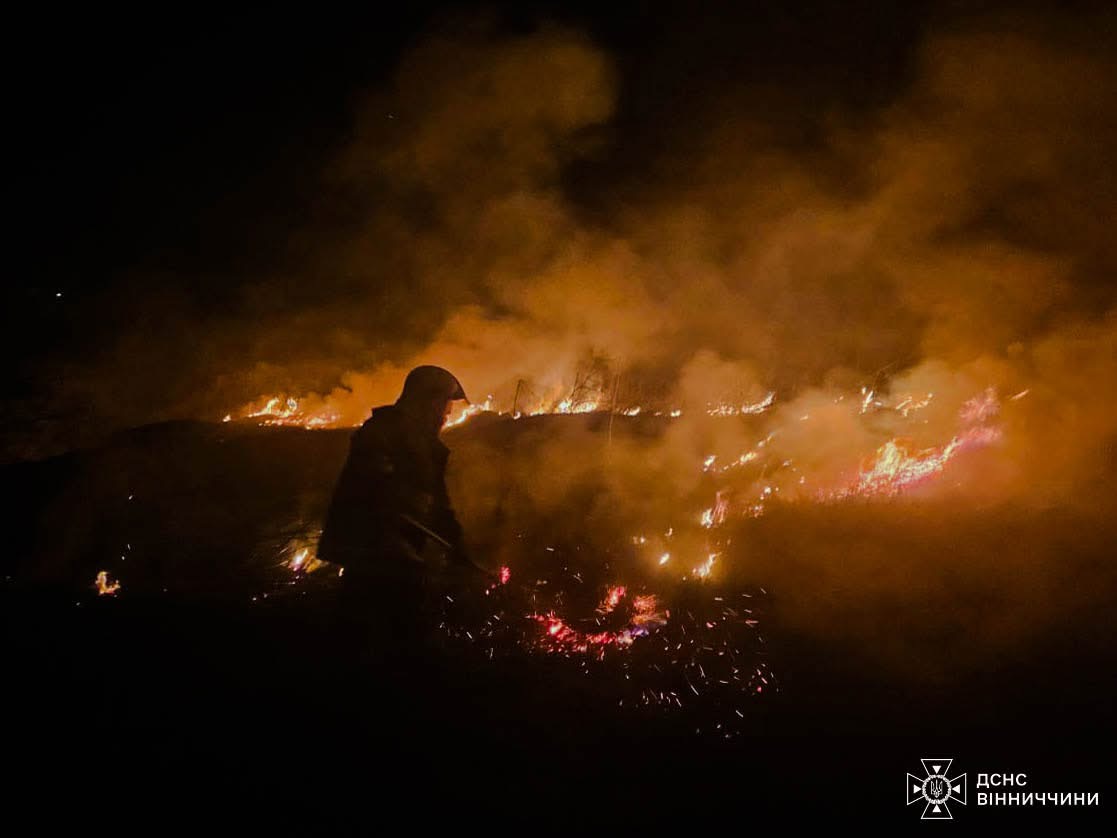 Вогняна доба на Вінниччині: рятувальники ліквідували 15 пожеж, більшість — в екосистемах