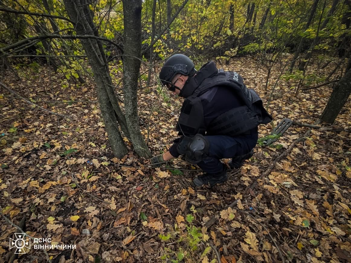 У Погребищі знищили гранату часів Другої світової війни