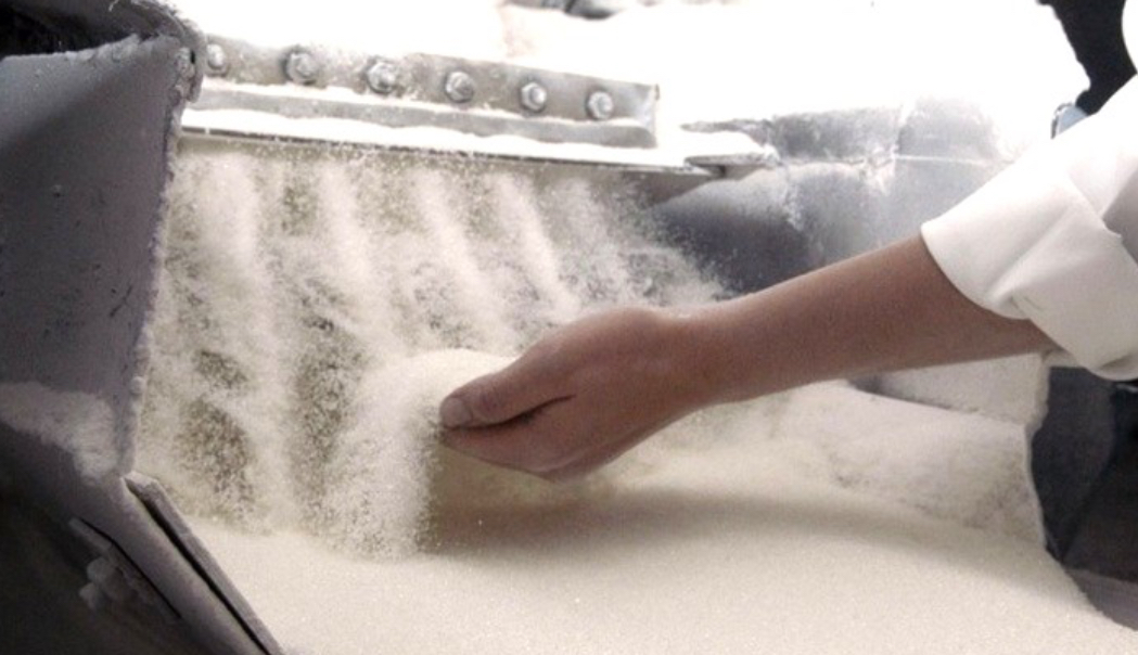 Цукроваріння на Вінниччині: п’ять заводів завершують сезон, аграрії контролюють стан озимини