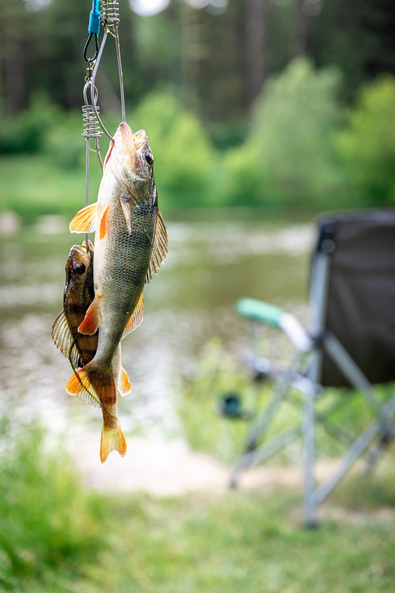 На Тульчинщині з 1 квітня діє нерестова заборона на вилов риби