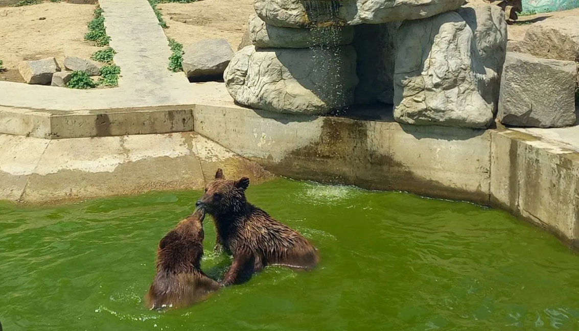 Подільський зоопарк у Вінниці переходить на зимовий графік роботи