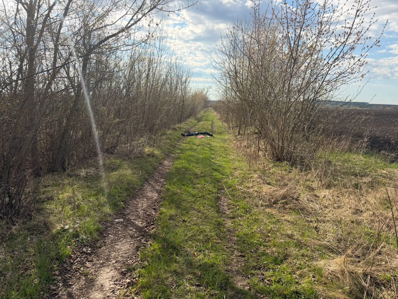 На Могилів-Подільщині водію повідомлено про підозру у смертельній ДТП