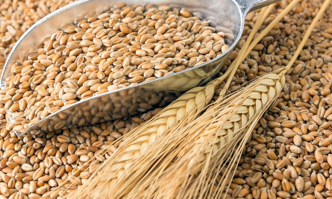 Аграрії Вінниччини намолотили понад 2,5 млн тонн зерна