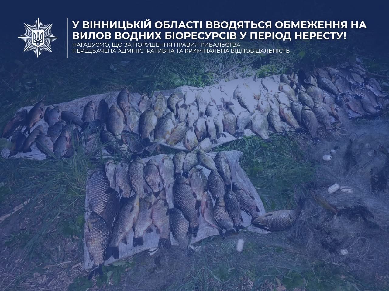 На Вінниччині тривають рейди в межах операції «Нерест»