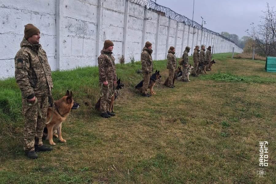 Кінологи вінницького полку НГУ вдосконалюють навички службових собак