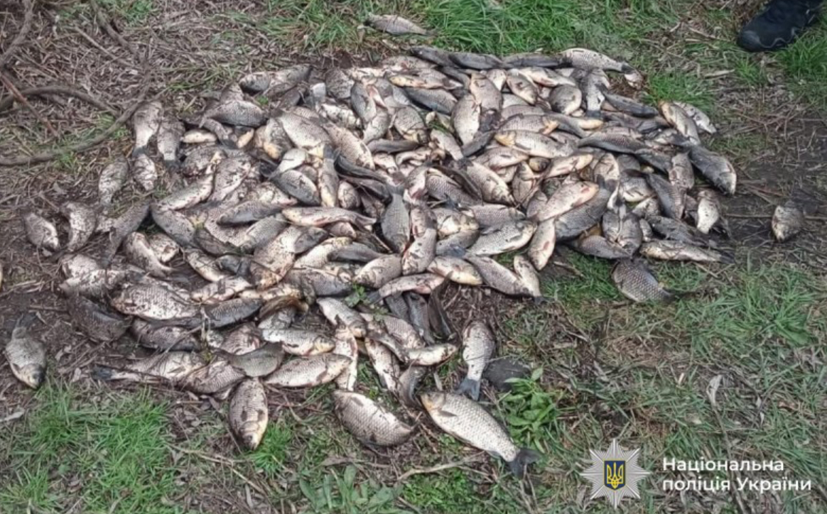 На Вінниччині виявили 27 випадків незаконного вилову риби під час нересту