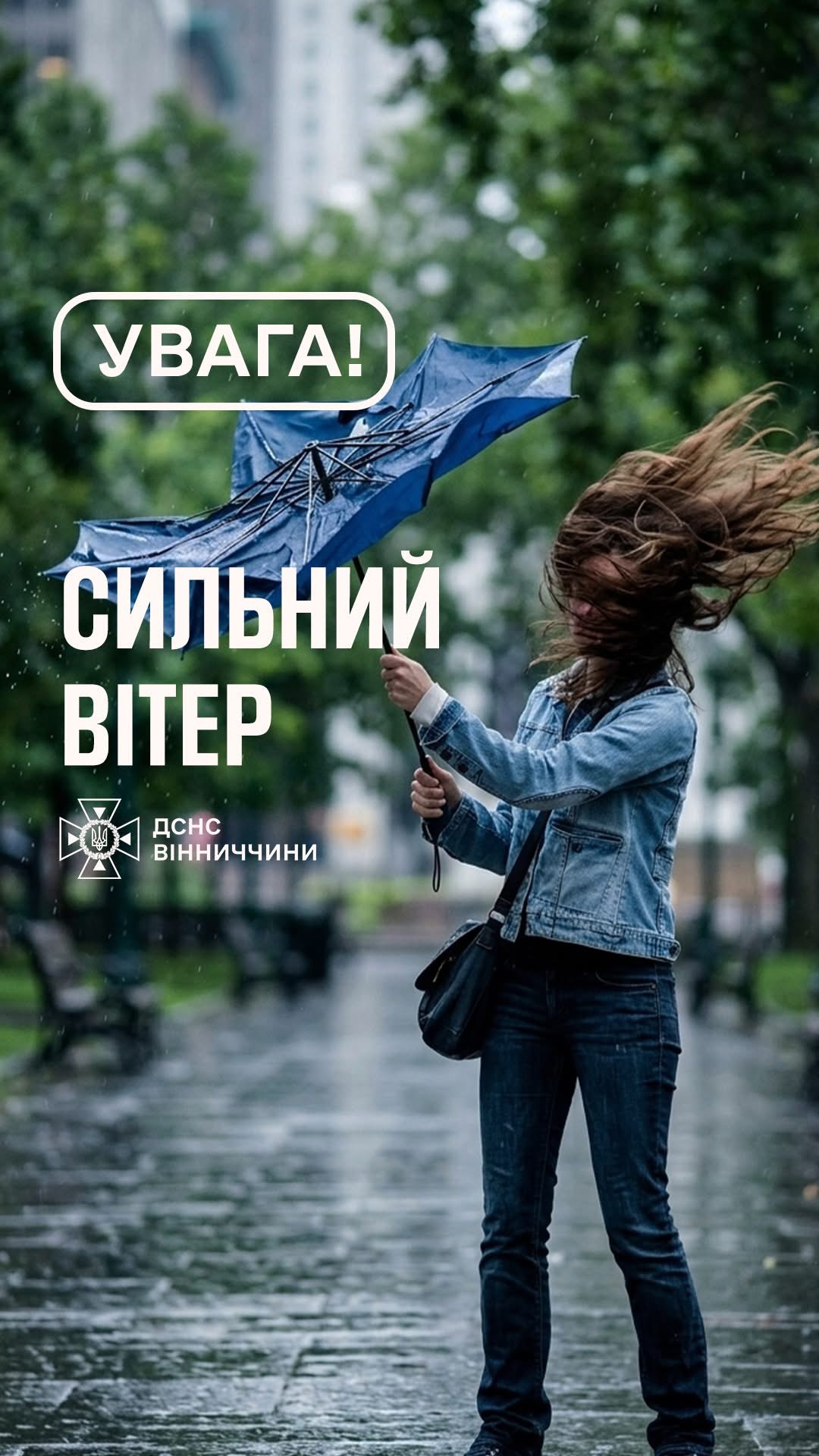 На Вінниччині 28 квітня прогнозують сильний вітер: оголошено жовтий рівень небезпеки