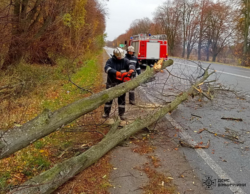 Рятувальники Вінниччини очистили дороги від повалених вітром дерев