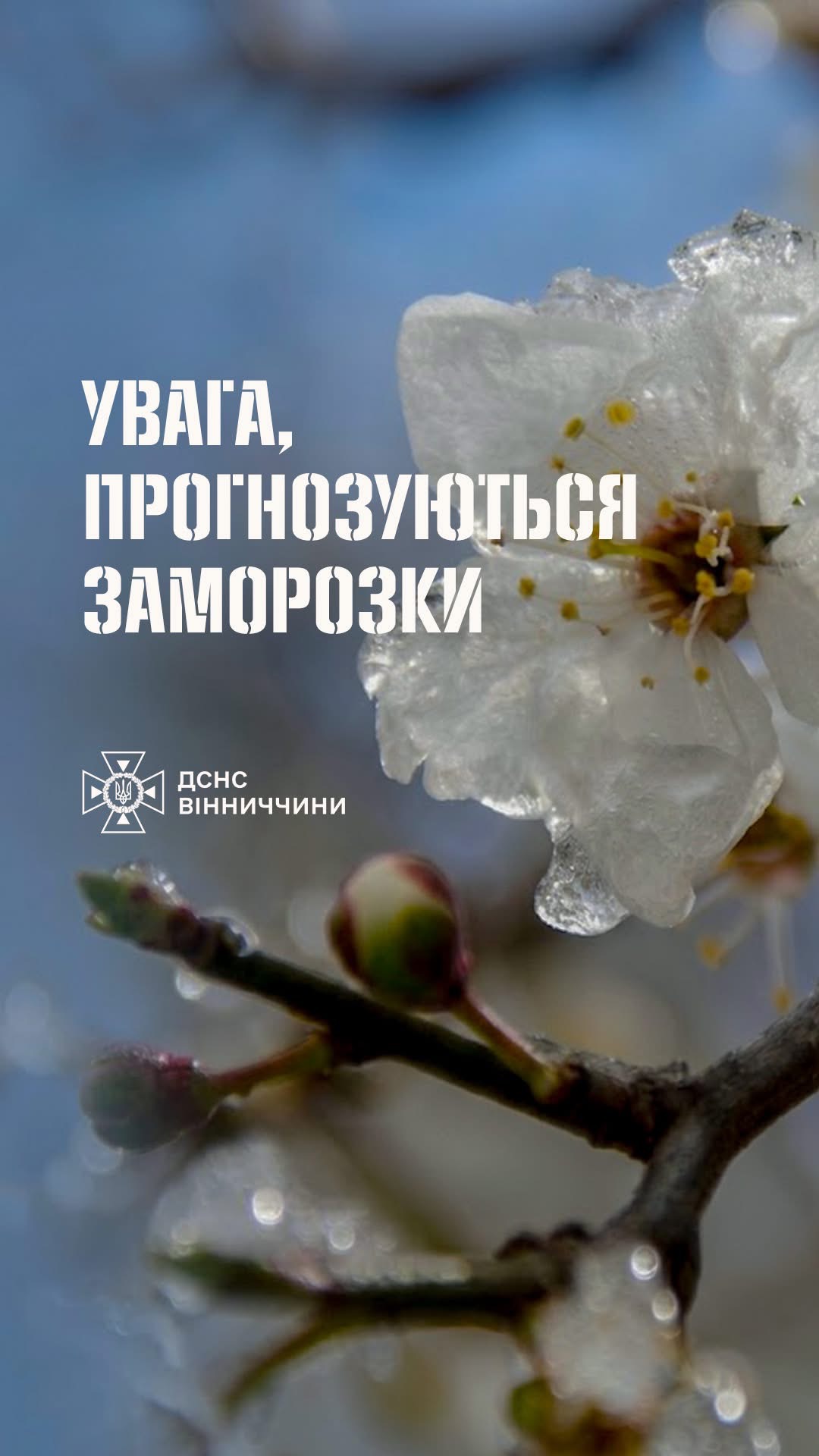 На Вінниччині оголошено помаранчевий рівень небезпеки через сильні заморозки