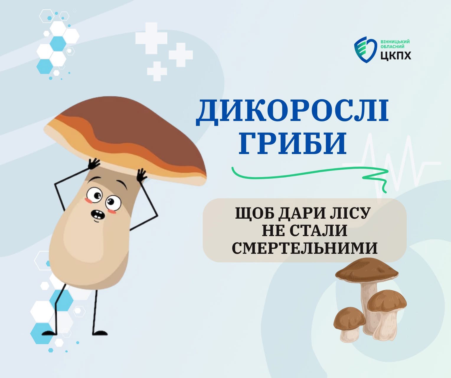 На Вінниччині за рік грибами отруїлися 26 людей, серед них п’ятеро дітей