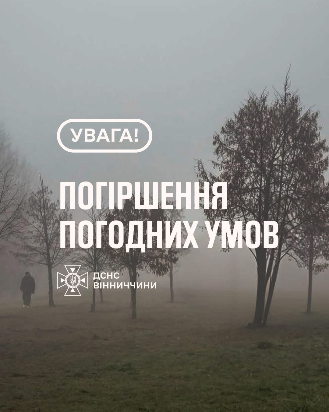 Увага: на Вінниччині очікується туман
