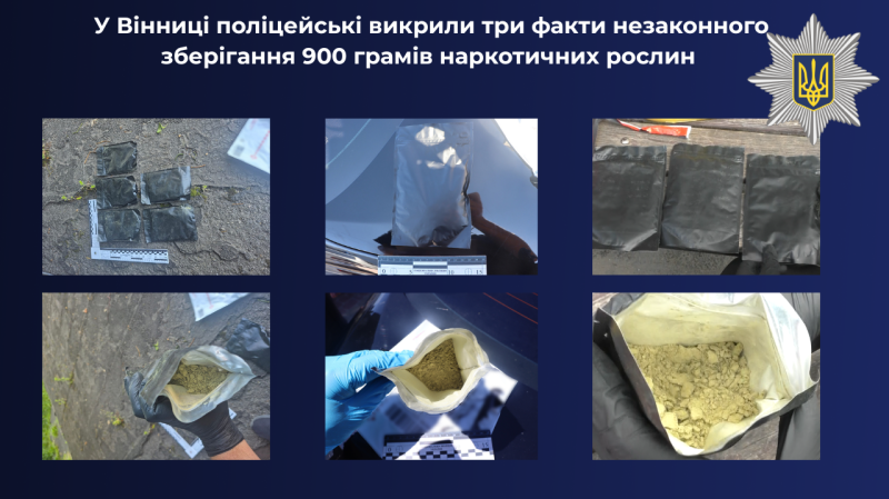У Вінниці затримали трьох осіб із майже кілограмом наркотичних речовин