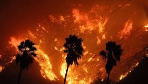 Масштабні пожежі в Каліфорнії: тисячі американців були евакуйовані