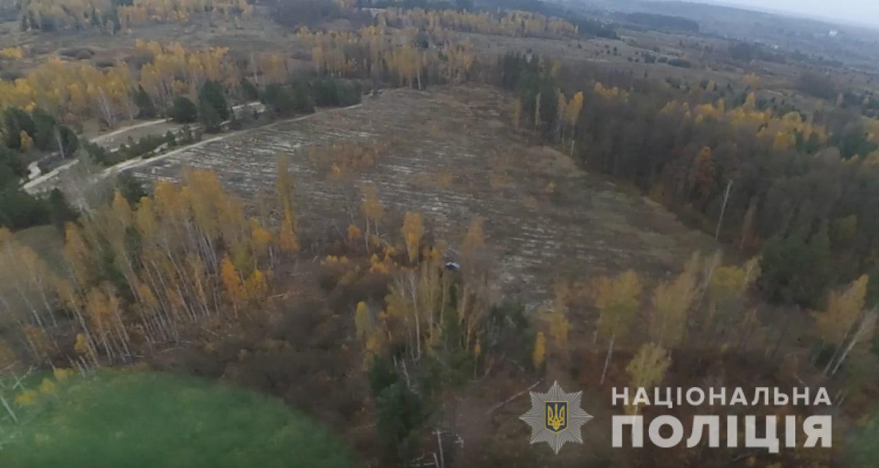 Незаконна порубка лісу на Київщині (ФОТО)