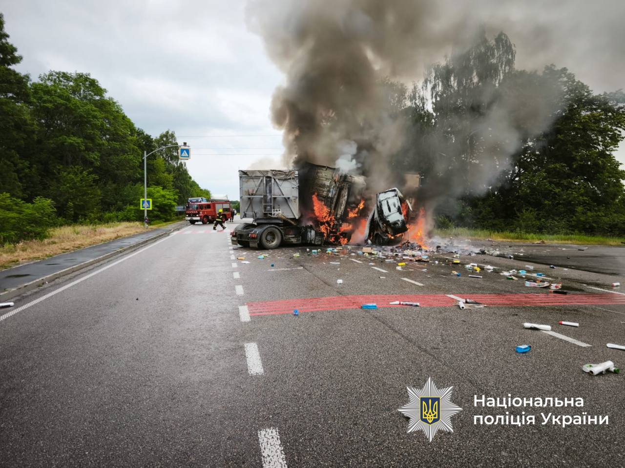 Поліція зaтримaлa водія смертельної aвтотрощі нa Вінниччині