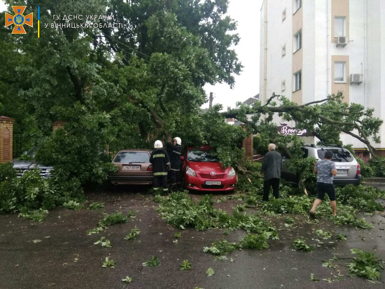 На Вінниччині у наслідок негоди були повалені дерева та підтоплені подвір’я
