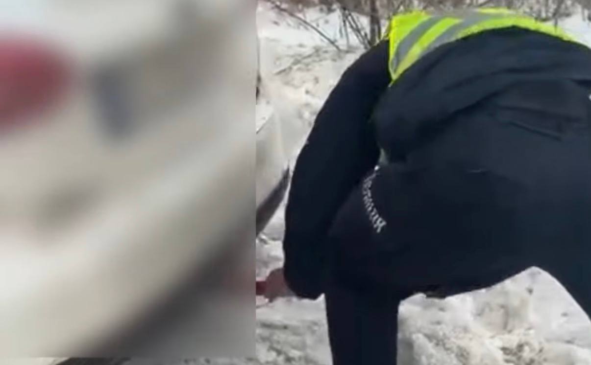 На Вінниччині патрульні допомогли водієві, чия автівка застрягла у сніговому заметі