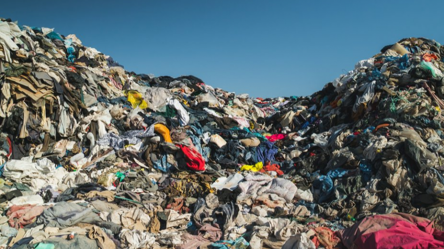 Вінницькі екологи застерігають від одягу із плстику, який актвно пропонують торгові мережі 