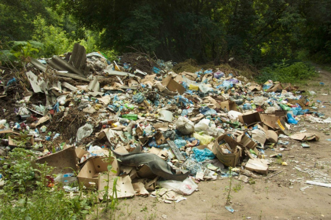 Екологи «гривнею» покарали мешканців Вінниччини 