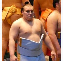 Вінничанин Данило Явгусишин може стати наймолодшим йокодзуна в історії сумо