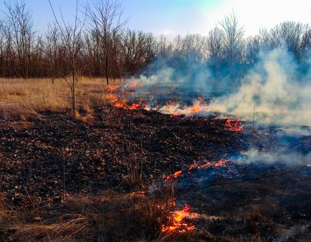 У Вінниці для боротьби з пaліями сухостою створено вісім робочих груп
