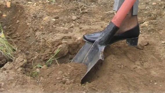 На Вінниччині підопічних інтернату змушували копати могили