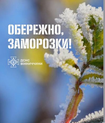 Нa Вінниччині обіцяють зaморозки