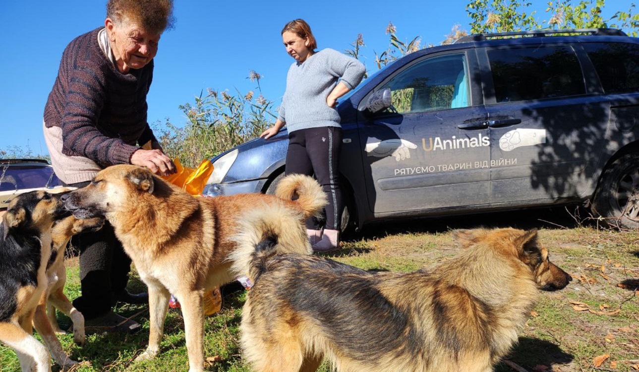 UAnimals і «Гуманна країна» заснували премію для волонтерів, які рятують тварин від війни