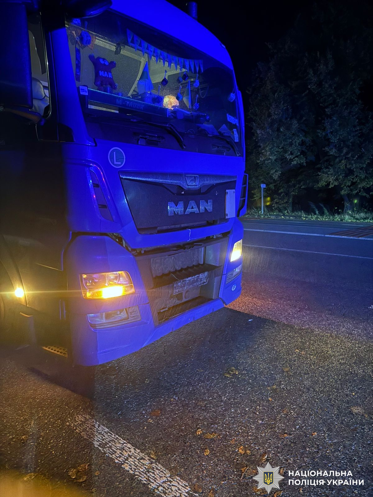 На Вінниччині водій вантажівки збив жінку  - особа потерпілої встановлюється