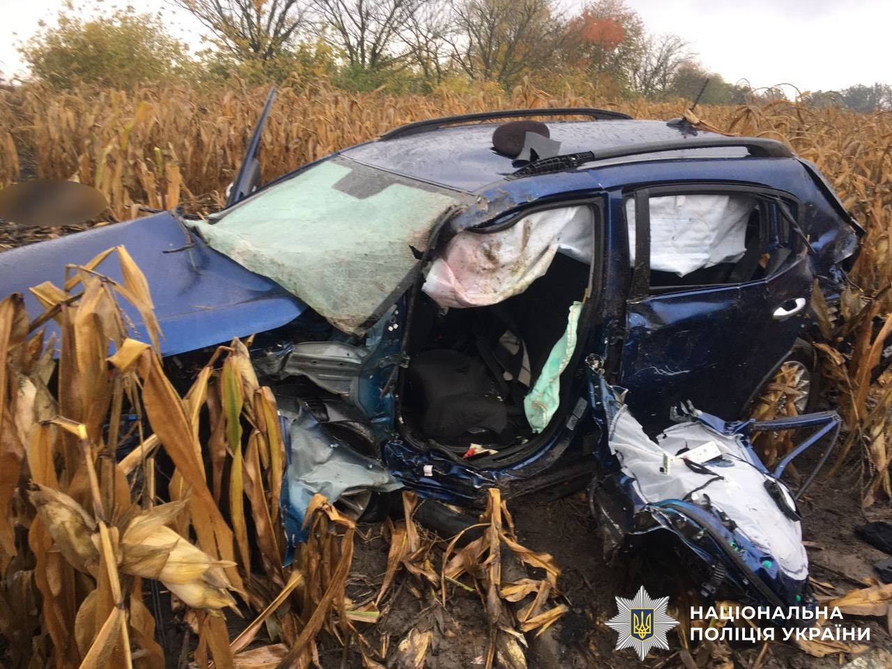 Смертельна ДТП на Вінниччині: водія Audi, з вини якого загинули троє людей, затримано