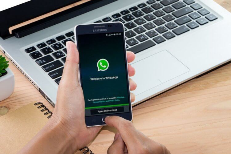 В месенджері WhatsApp з'явилася нова функція