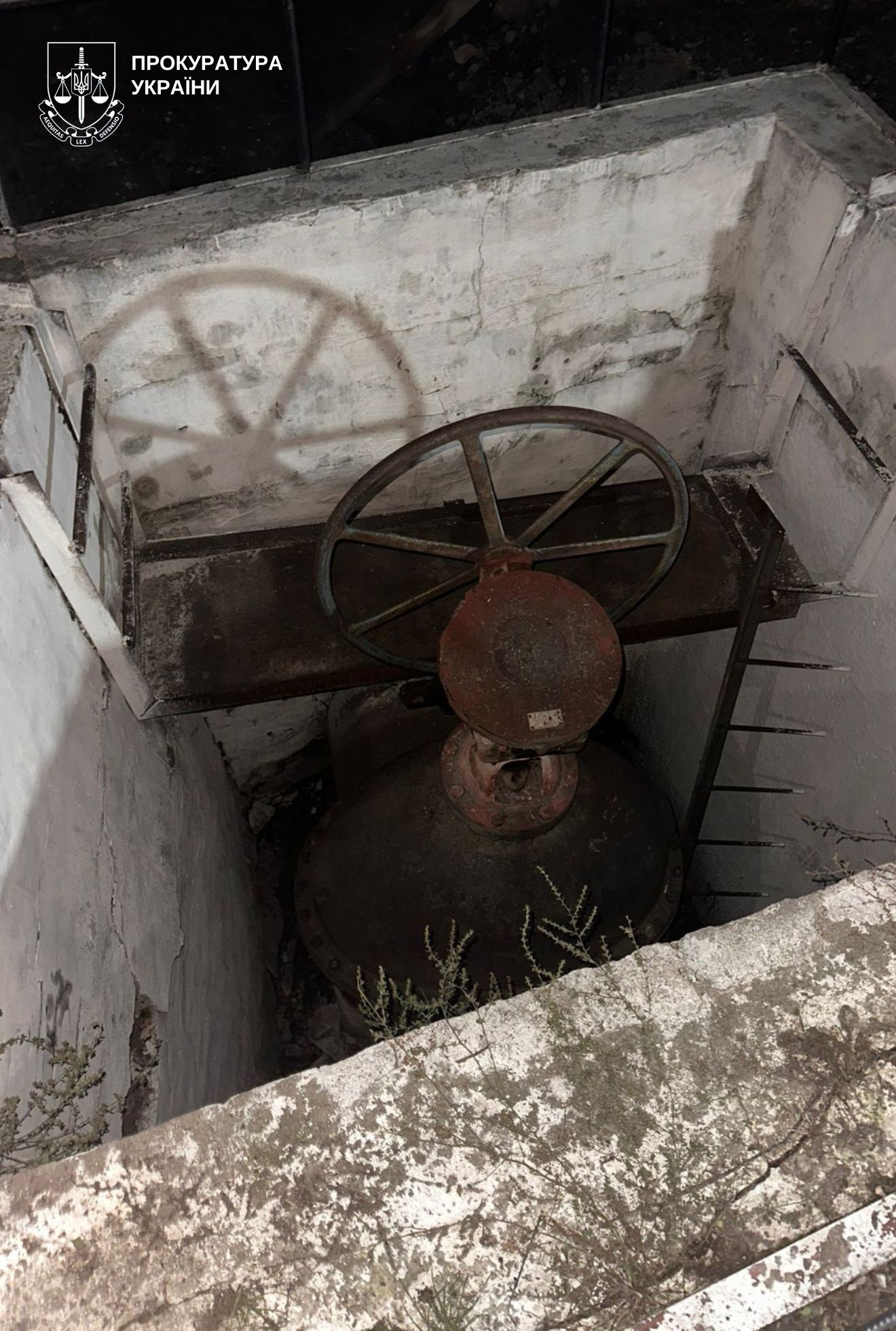 Масовий мор риби на річці Соб: прокуратура відкрила кримінальне провадження