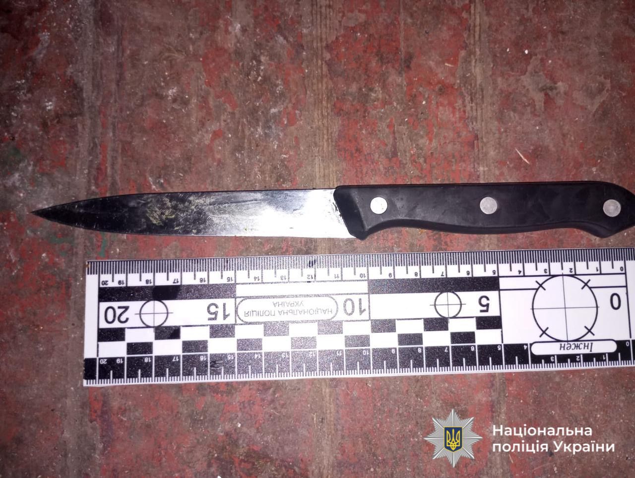 На Вінниччині жінку взяли під варту за підозрою у замаху на вбивство 17-річної доньки